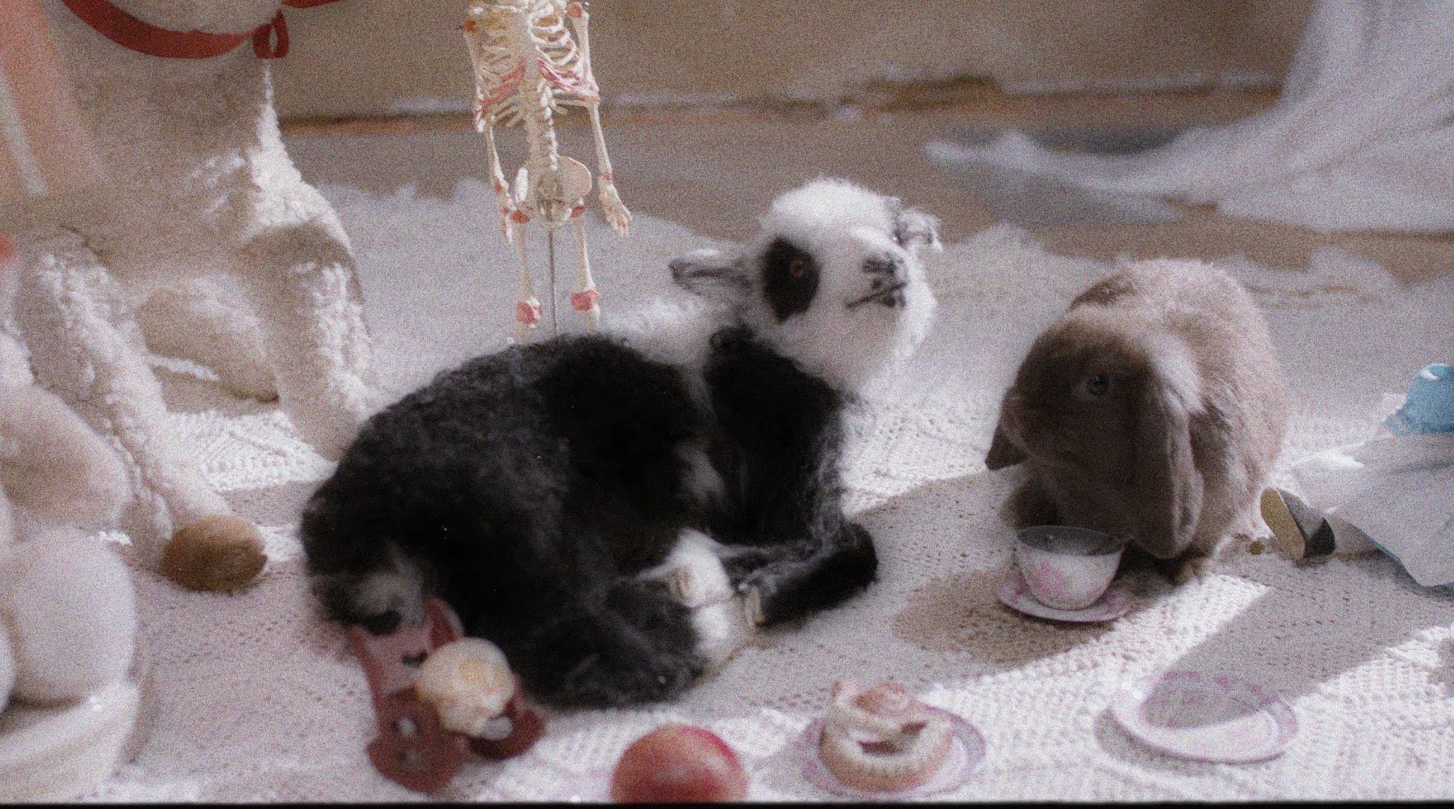molly's tea party